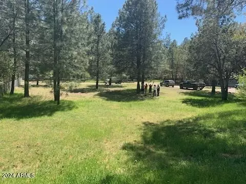 8584 W Elk Rd #49, Pine, AZ 85544