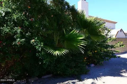 6451 E Palm St, Mesa, AZ 85215 photo 40