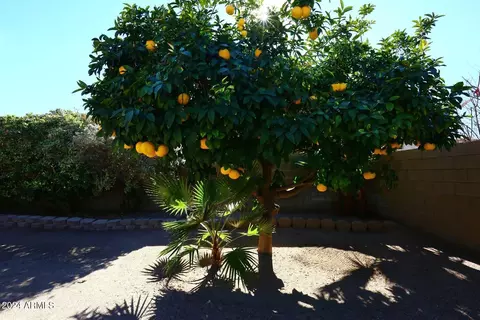 6451 E Palm St, Mesa, AZ 85215 photo 38