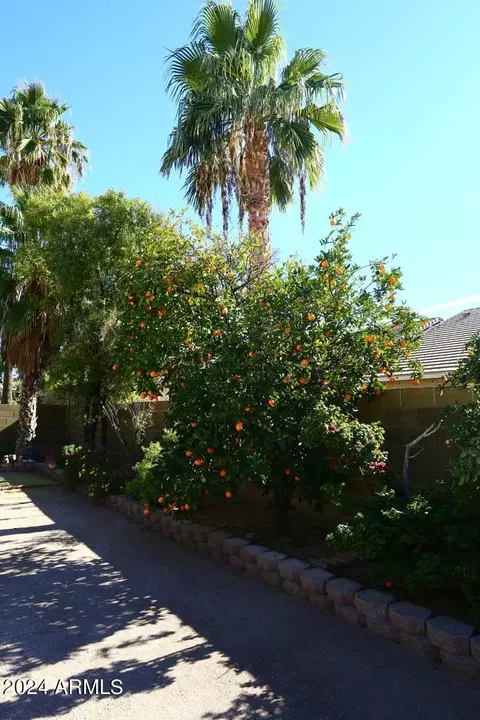 6451 E Palm St, Mesa, AZ 85215 photo 39