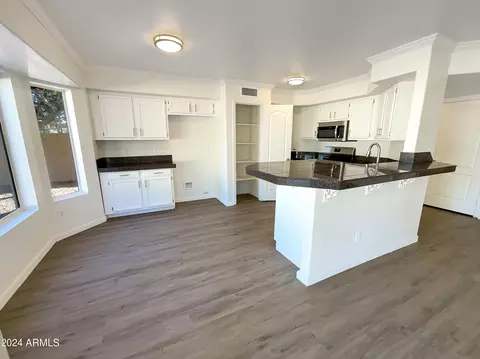 1508 W Pacific Dr, Gilbert, AZ 85233 photo 12