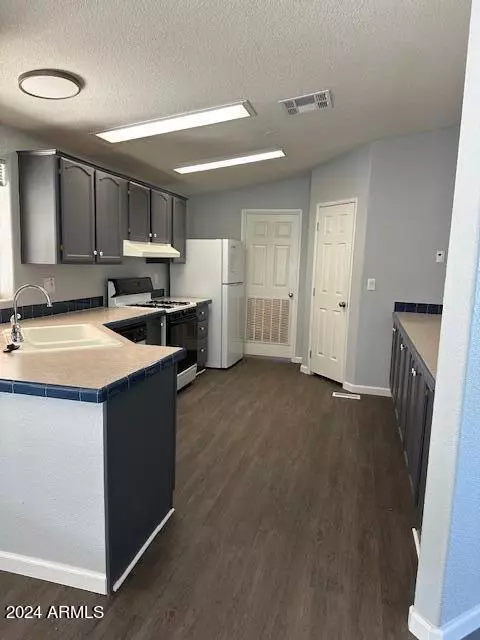 3309 E Serritos Ranch Rd, Hereford, AZ 85615 photo 13