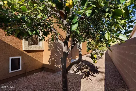 2603 E Acoma Dr, Phoenix, AZ 85032 photo 42