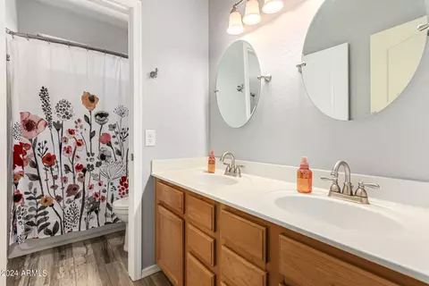 Bath - 871 N Date Palm Dr, Gilbert, AZ 85234 photo 6 of 6