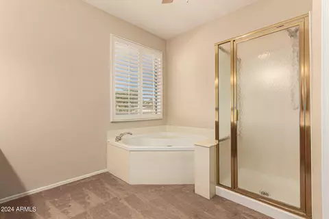 Bath - 871 N Date Palm Dr, Gilbert, AZ 85234 photo 5 of 6