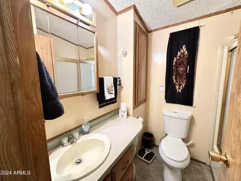 1025 S Propsector Dr, Apache Junction, AZ 85119 photo 34