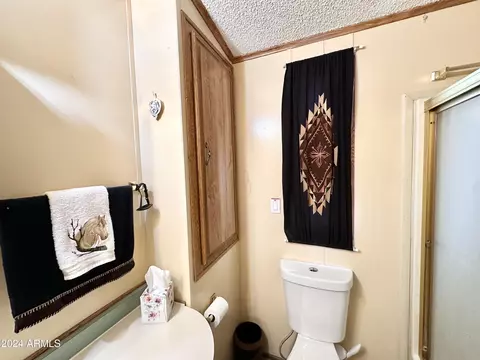1025 S Propsector Dr, Apache Junction, AZ 85119 photo 36