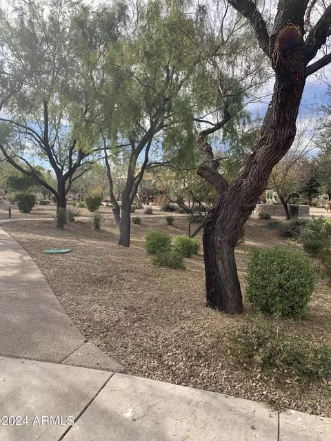 1753 E Dubois Ave, Gilbert, AZ 85298 photo 42
