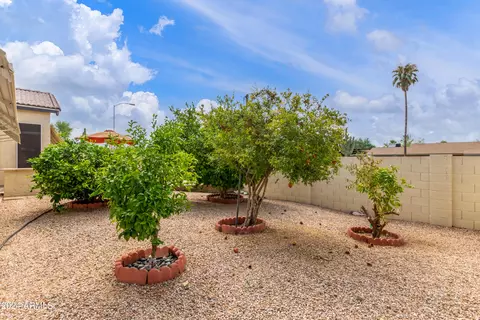 6659 E Menlo St, Mesa, AZ 85215 photo 37