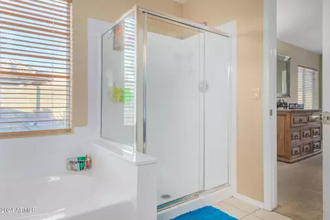 7428 E Hannibal St, Mesa, AZ 85207 photo 17