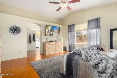 923 N Seton --, Mesa, AZ 85205 photo 23