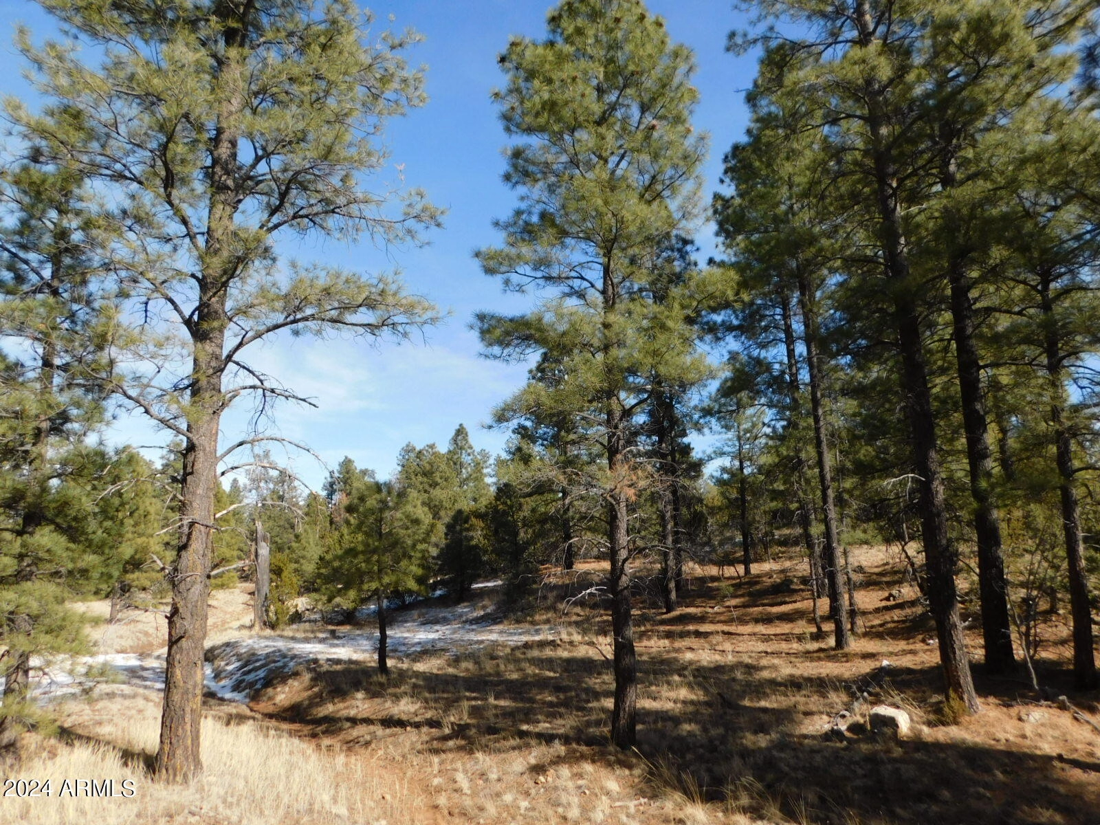 6373 WHISPERING PINE DR Unit 47