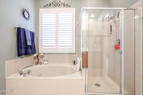 3645 E Palmer St, Gilbert, AZ 85298 photo 17