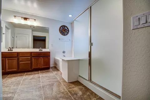 Bath - 11341 E Sebring Ave, Mesa, AZ 85212 photo 2 of 4