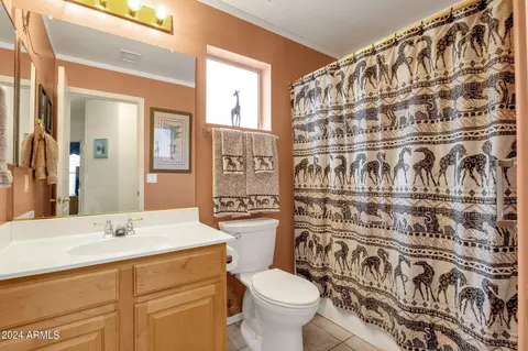 4505 E Windsong Dr, Phoenix, AZ 85048 photo 23