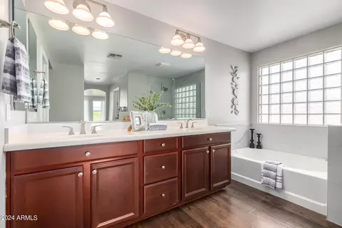 Bath - 734 E Kingbird Dr, Gilbert, AZ 85297 photo 1 of 4