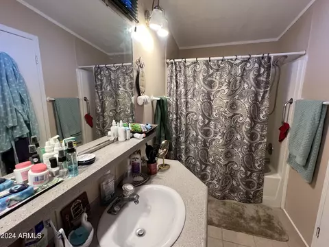 2208 W Baseline Ave #198, Apache Junction, AZ 85120 photo 9