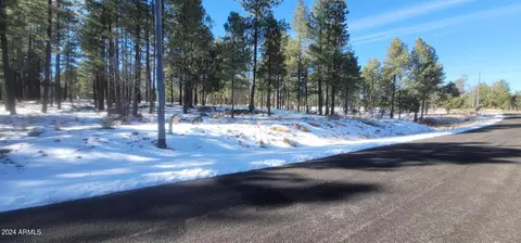 2904 Sparrow Dr #516, Happy Jack, AZ 86024