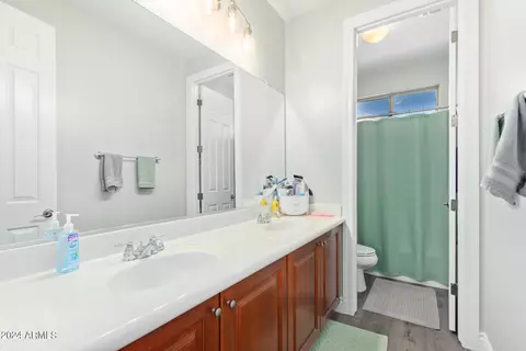 Bath - 3128 E Ironside Ct, Gilbert, AZ 85298 photo 5 of 5