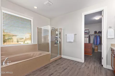 Bath - 3128 E Ironside Ct, Gilbert, AZ 85298 photo 4 of 5