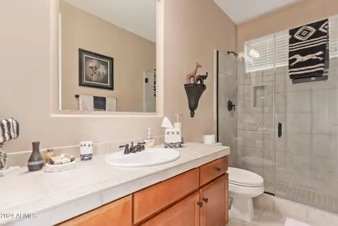 8128 E Sugarloaf Cir, Mesa, AZ 85207 photo 25