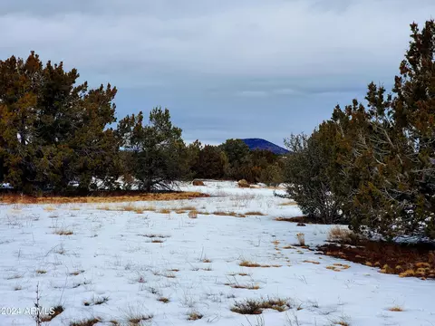 216 E Orchid Dr #558, Williams, AZ 86046