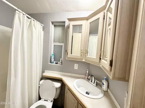 859 S Aquamarine Dr, Apache Junction, AZ 85119 photo 52