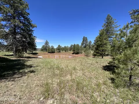 3602 E Mountain Man Trl, Williams, AZ 86046 photo 24