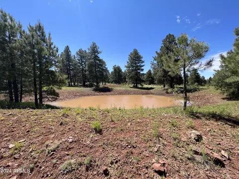 3602 E Mountain Man Trl, Williams, AZ 86046 photo 25