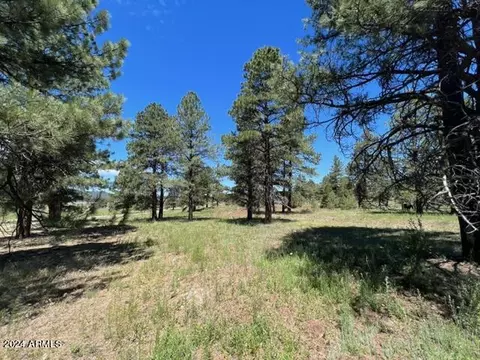3602 E Mountain Man Trl, Williams, AZ 86046 photo 23