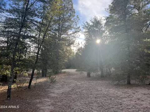 411 E Forest Service 512 Rd #-, Young, AZ 85554