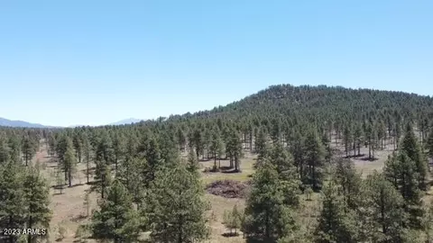 3601 E Mountain Man Trl #-, Williams, AZ 86046
