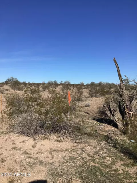 358 W Nn W Lower Buckeye Road Apt 5 - Acres Rd #5 +/- ACRES, Tonopah, AZ 85354