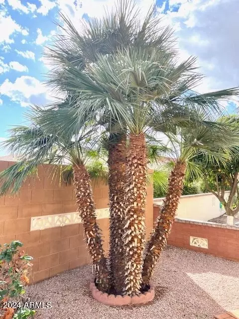 8233 E Natal Ave, Mesa, AZ 85209 photo 19