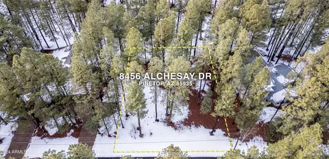 8456 Alchesay Dr #557, Pinetop, AZ 85935