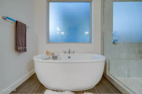 Bath - 10337 E Trillium Ave, Mesa, AZ 85212 photo 6 of 8