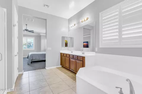 10060 E Tripoli Ave, Mesa, AZ 85212 photo 30