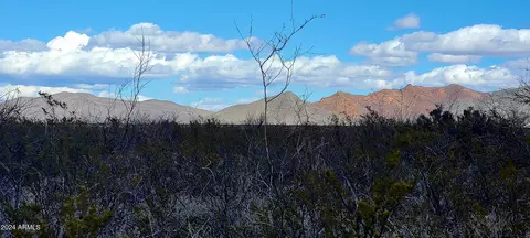 lot 9 e real goods trail, Hereford, AZ 85615