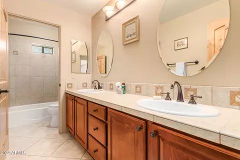 Bath - 14529 E Circle L Ranch Pl, Vail, AZ 85641 photo 4 of 6