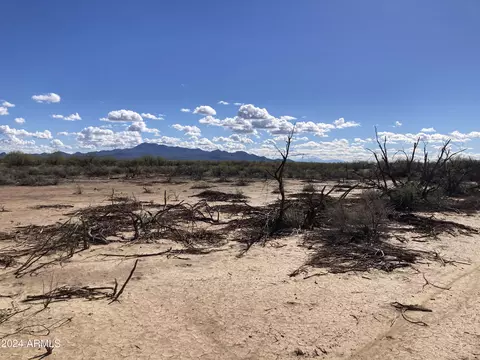 8260 N Maggies Farm Ln #-, Tucson, AZ 85743