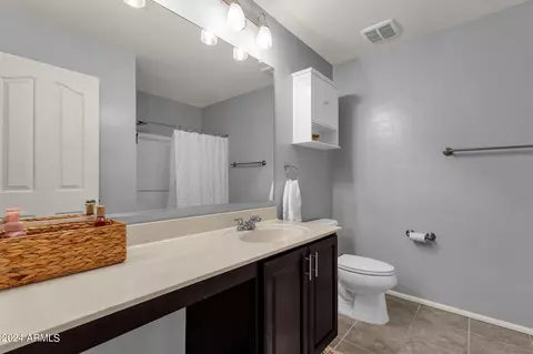 Bath - 4151 E Nunneley Rd, Gilbert, AZ 85296 photo 2 of 5