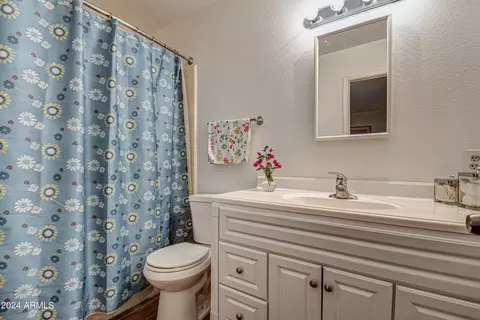 4716 E Saint Catherine Ave, Phoenix, AZ 85042 photo 16