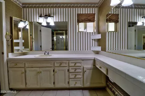 Bath - 767 E Pony Ln, Gilbert, AZ 85295 photo 6 of 7
