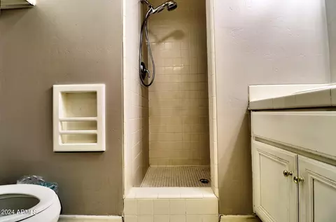 Bath - 767 E Pony Ln, Gilbert, AZ 85295 photo 7 of 7