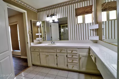 Bath - 767 E Pony Ln, Gilbert, AZ 85295 photo 5 of 7