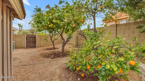 Exterior - 3716 E Ahwatukee Dr, Phoenix, AZ 85044 photo 25 of 28