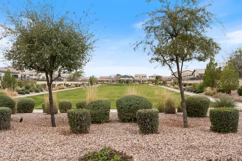 Exterior - 3878 E Harrison St, Gilbert, AZ 85295 photo 13 of 16