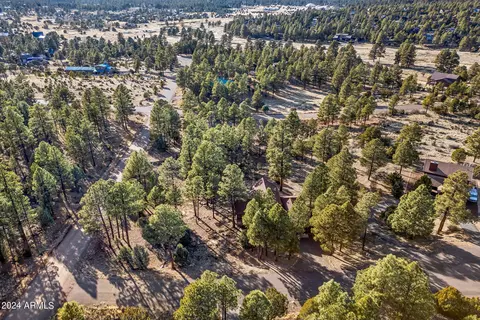 View/Area - 2780 E Doolittle Cir, Overgaard, AZ 85933 photo 3 of 6