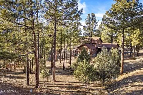 Other - 2780 E Doolittle Cir, Overgaard, AZ 85933 photo 5 of 5