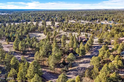 View/Area - 2780 E Doolittle Cir, Overgaard, AZ 85933 photo 2 of 6